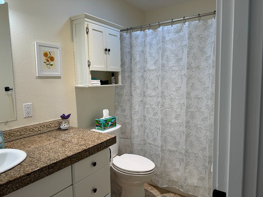 Hallway bathroom