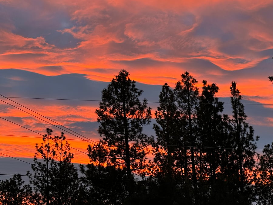 Sunset from the front yard. Across the street is 20 acres of undeveloped land