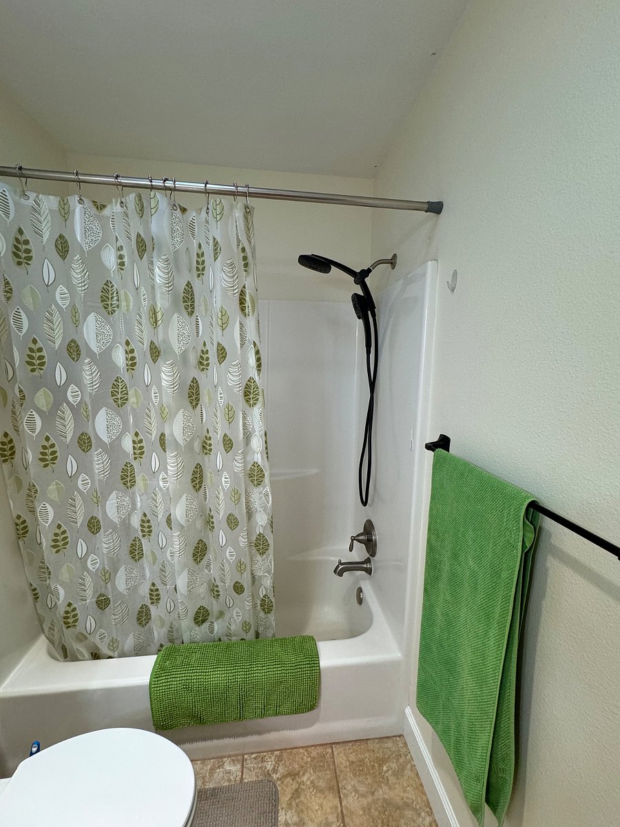 Hallway bathroom - shower/tub combo