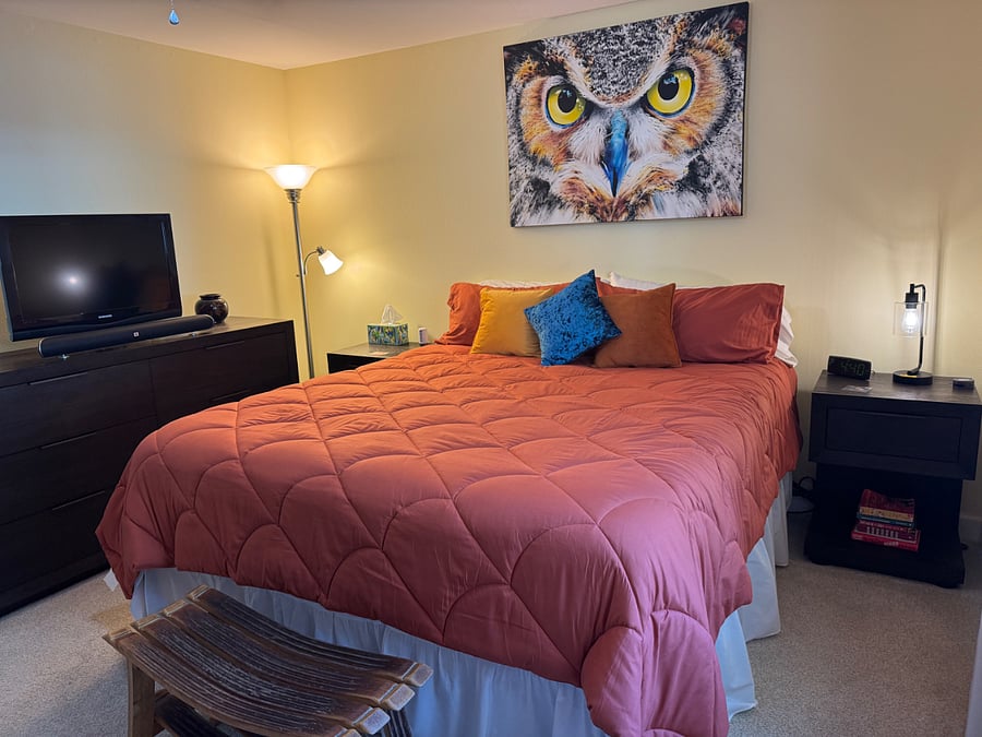 Master Bedroom with TV with JBL sound bar and bass