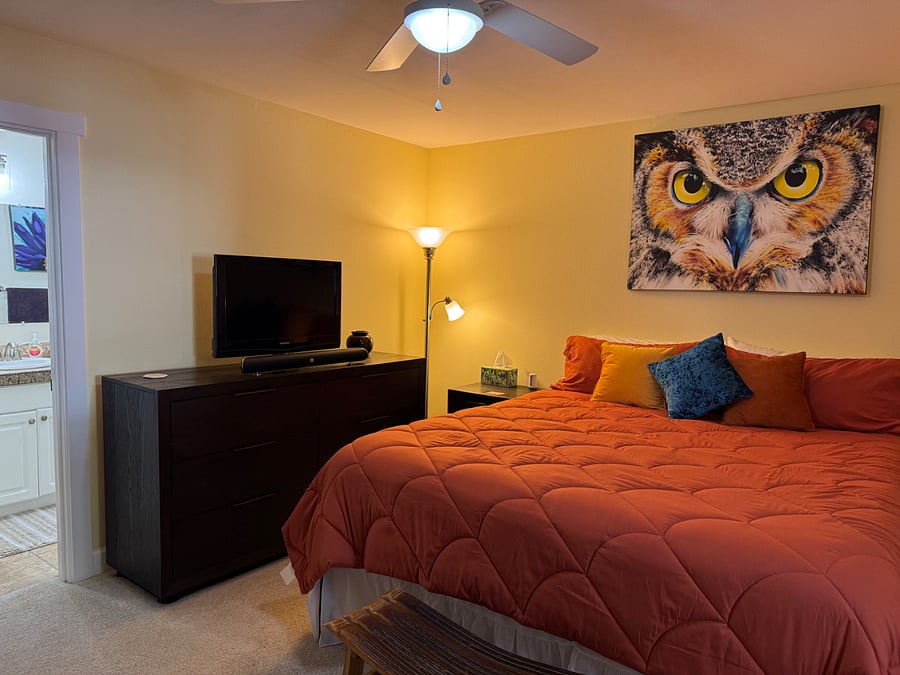 Master bedroom with TV and JBL sound and full bathroom