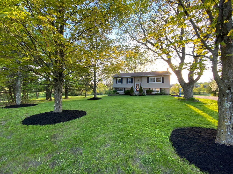 Furnished Finder property 894482_1 photo 16