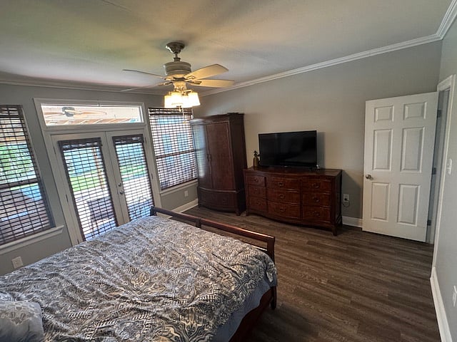 Master Bedroom Downstairs
