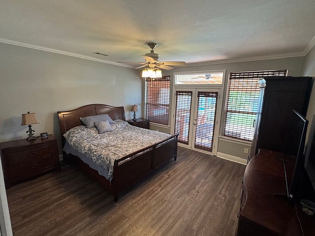 Master Bedroom Downstairs