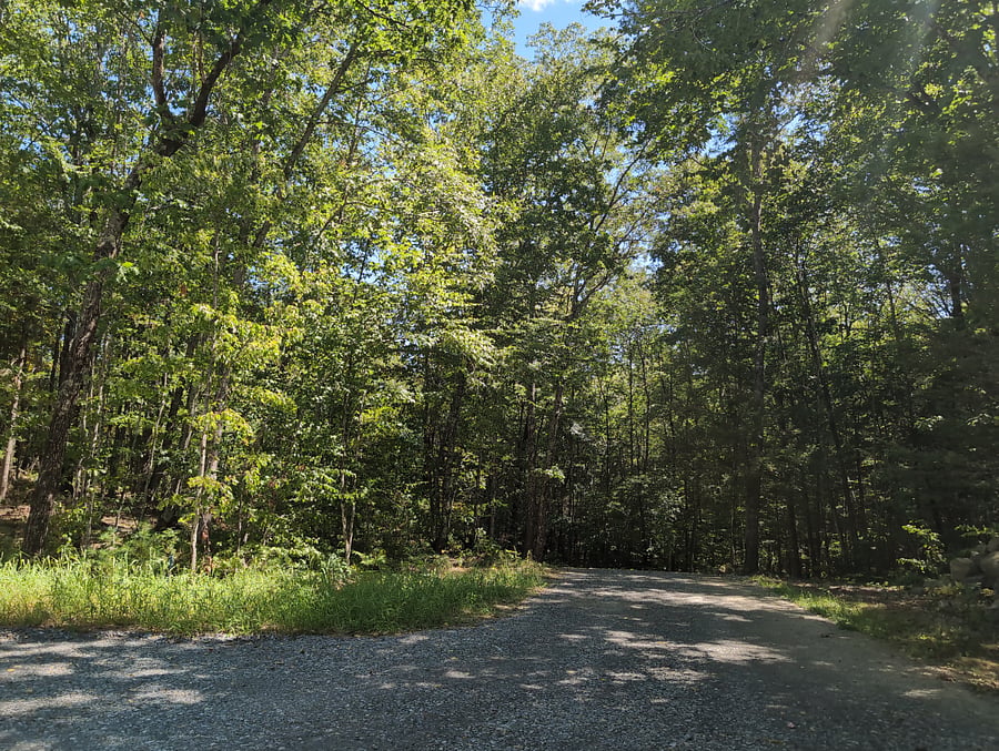 Walking trails intersect the driveway near the house