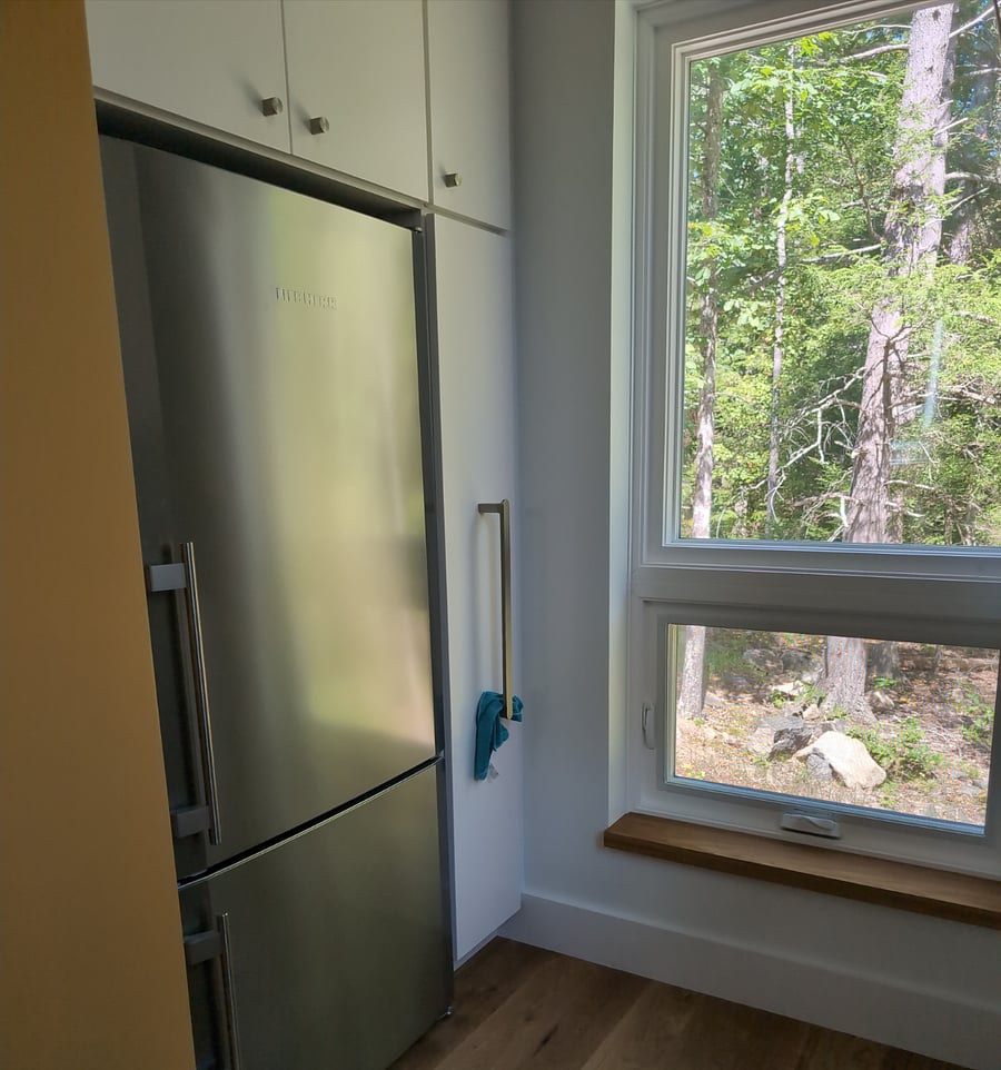 extra storage in pull-out cabinet next to fridge