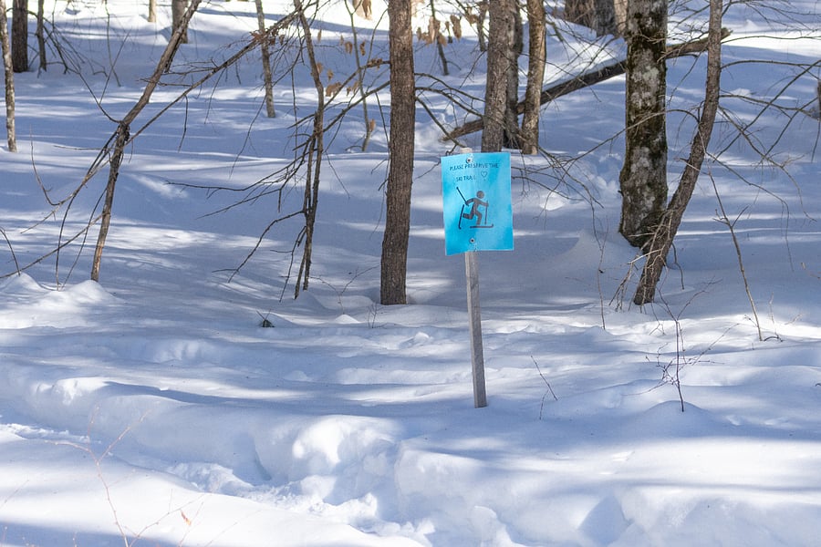 Winter cross country ski trail 