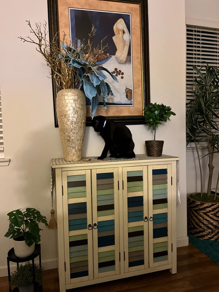 (visiting feline! not included)
