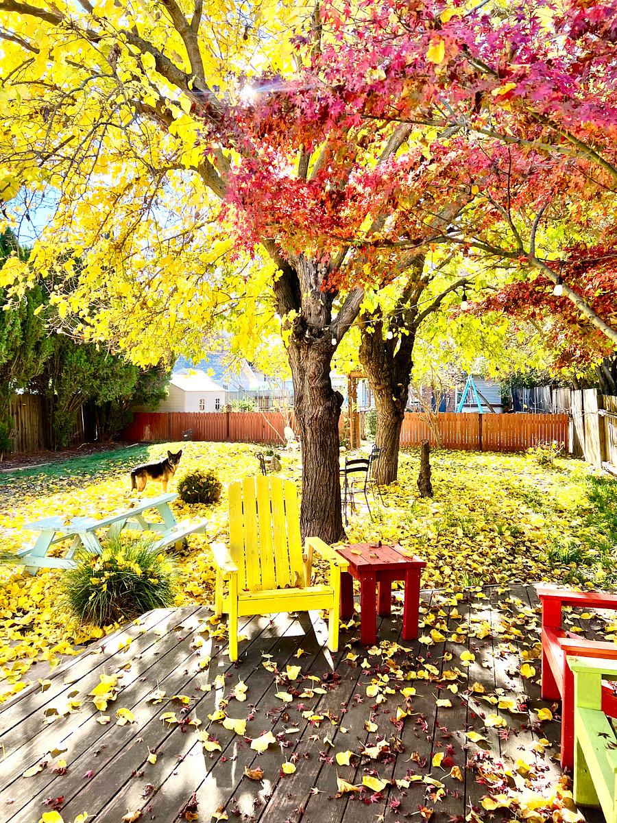 Furnished Finder property 894851_1 photo 32
