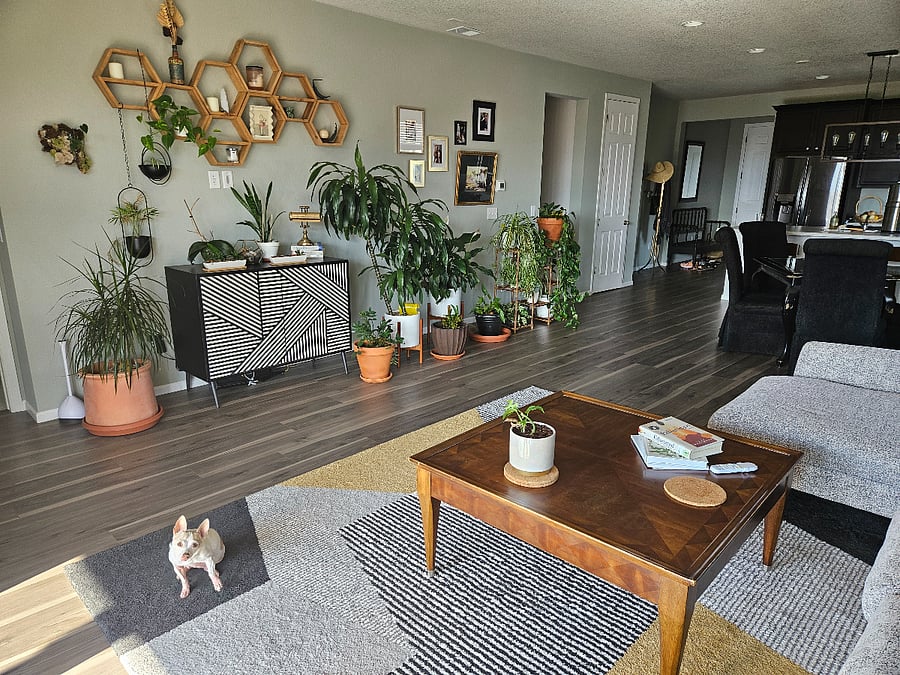 Furnished Finder property 894858_1 photo 10