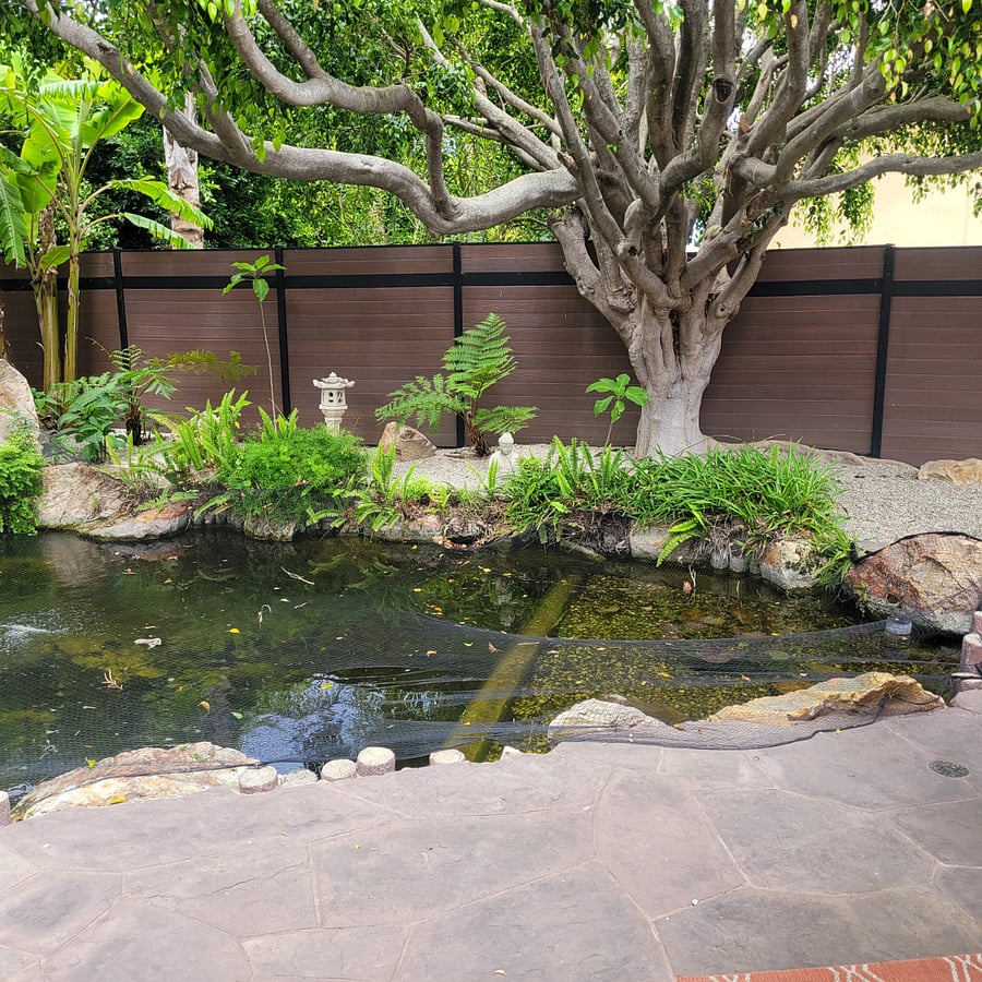 Peacefull koi pond on the other side of the house. 