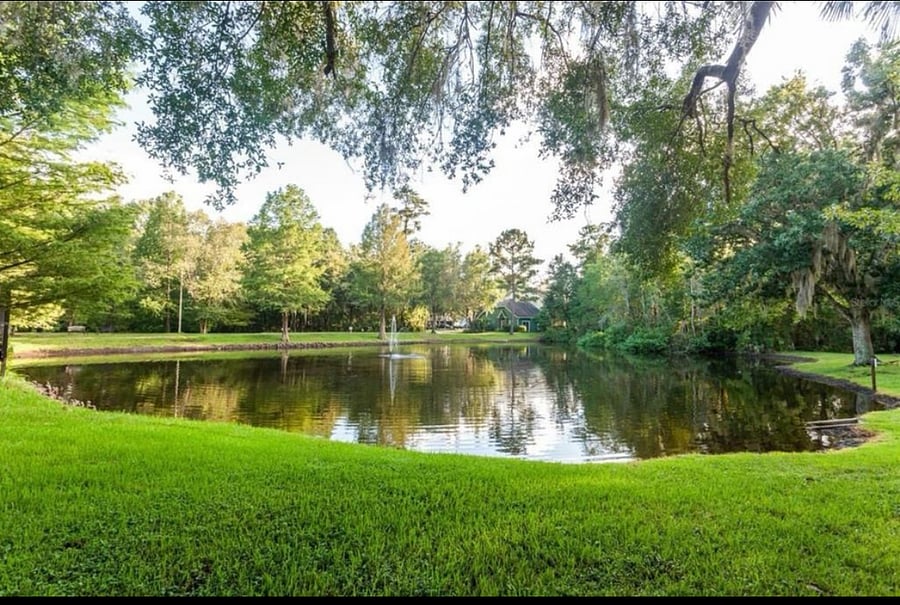 Furnished Finder property 895019_1 photo 9