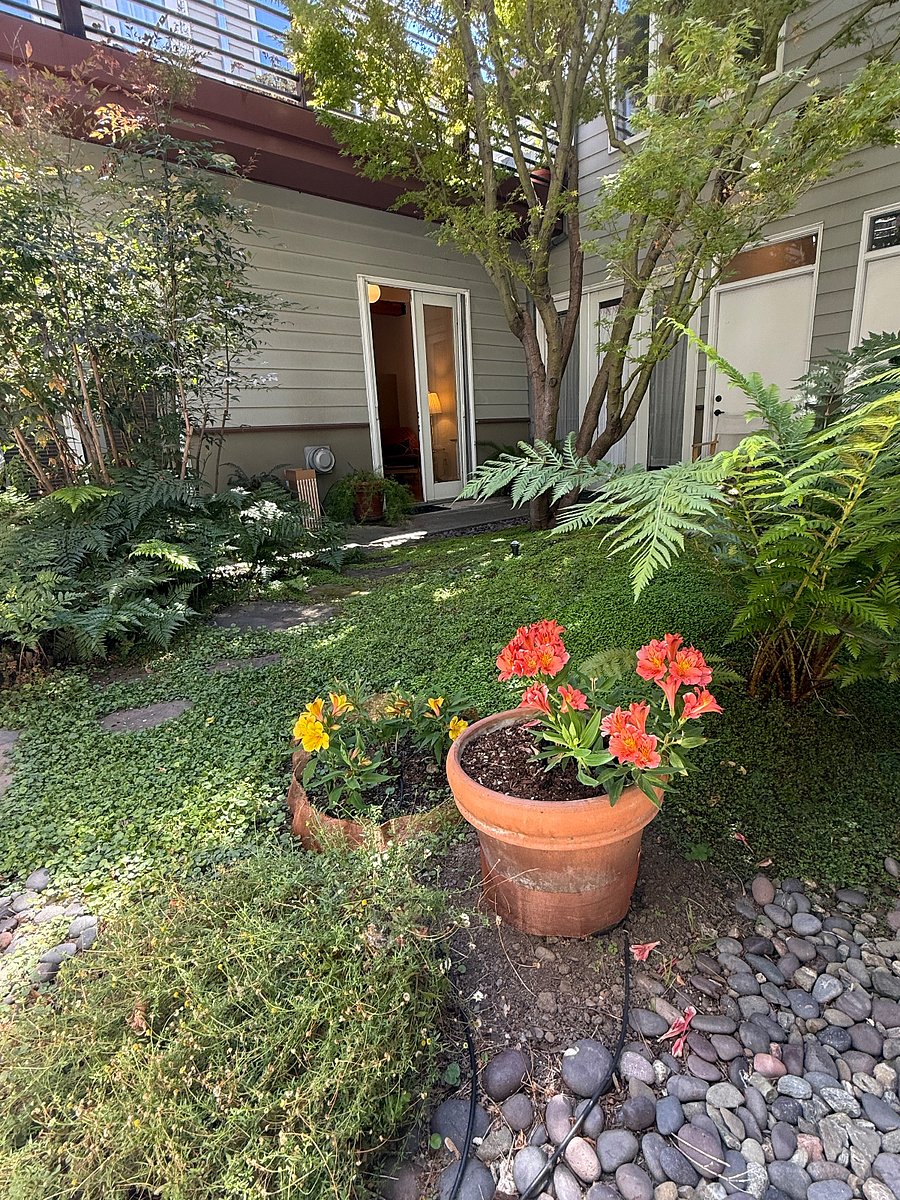 Furnished Finder property 895075_1 photo 12