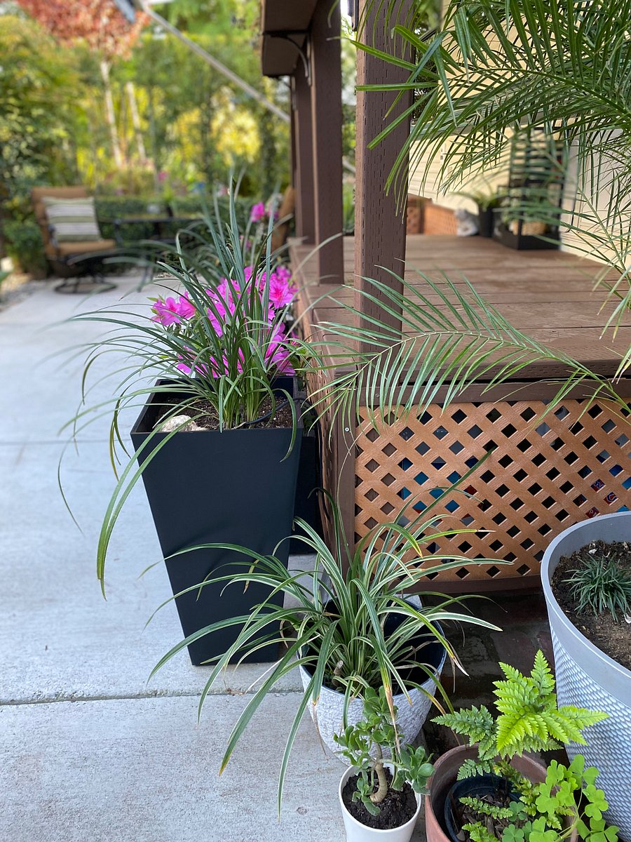 Front porch/deck