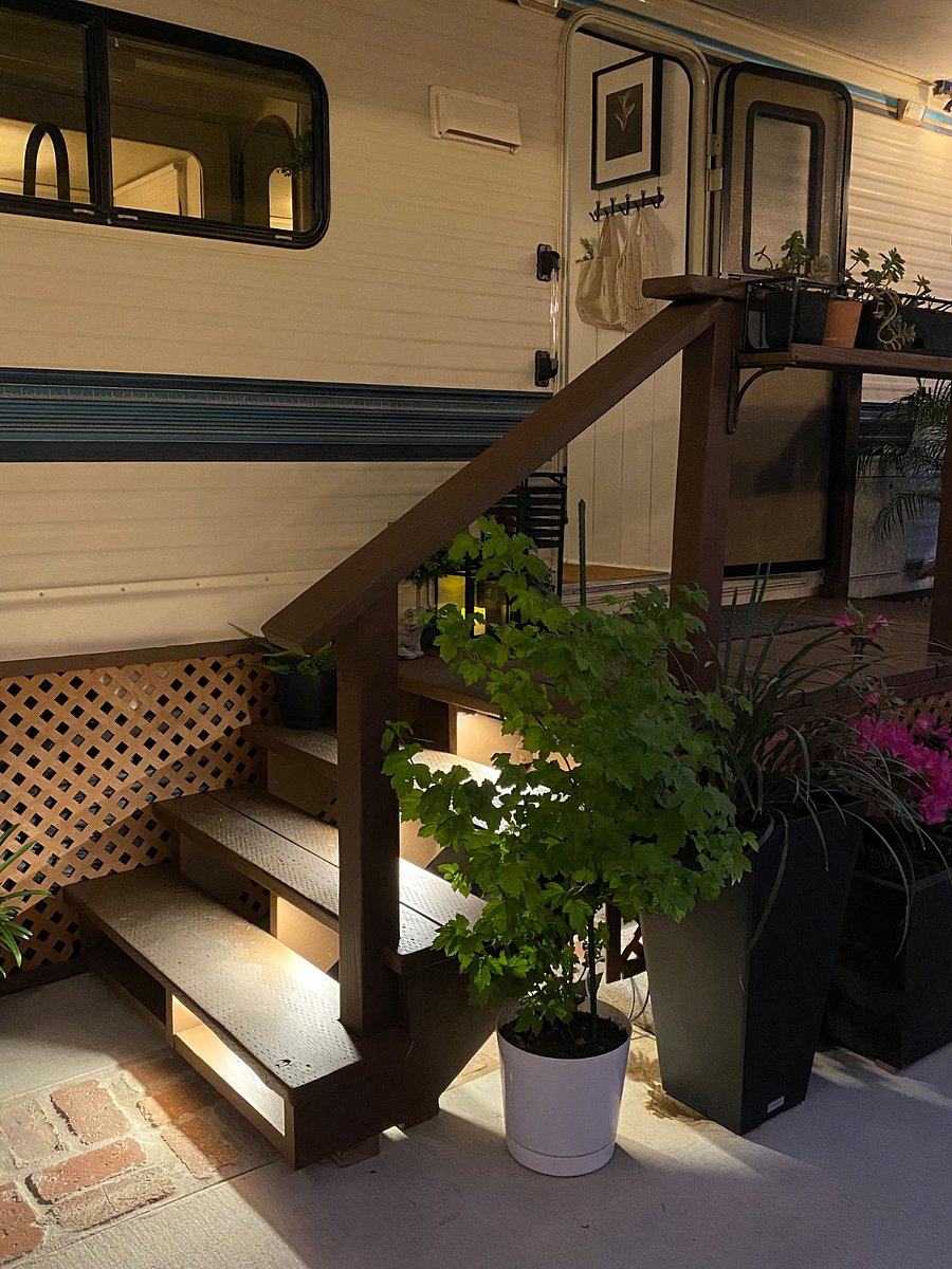 Dawn to dusk step lights