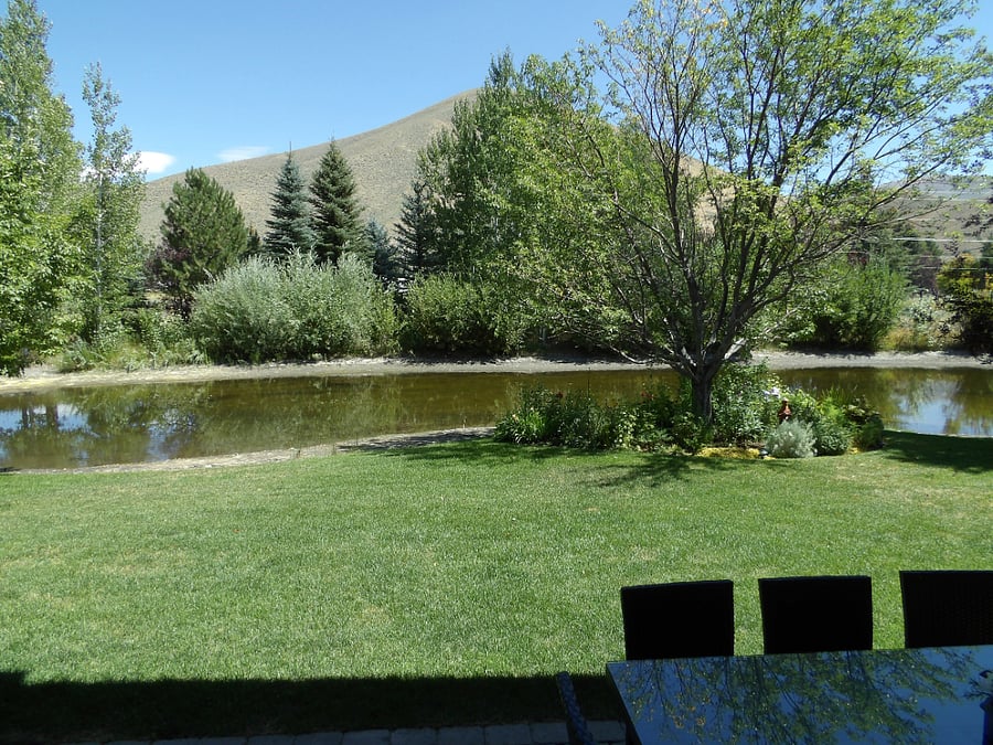 Furnished Finder property 895133_1 photo 12