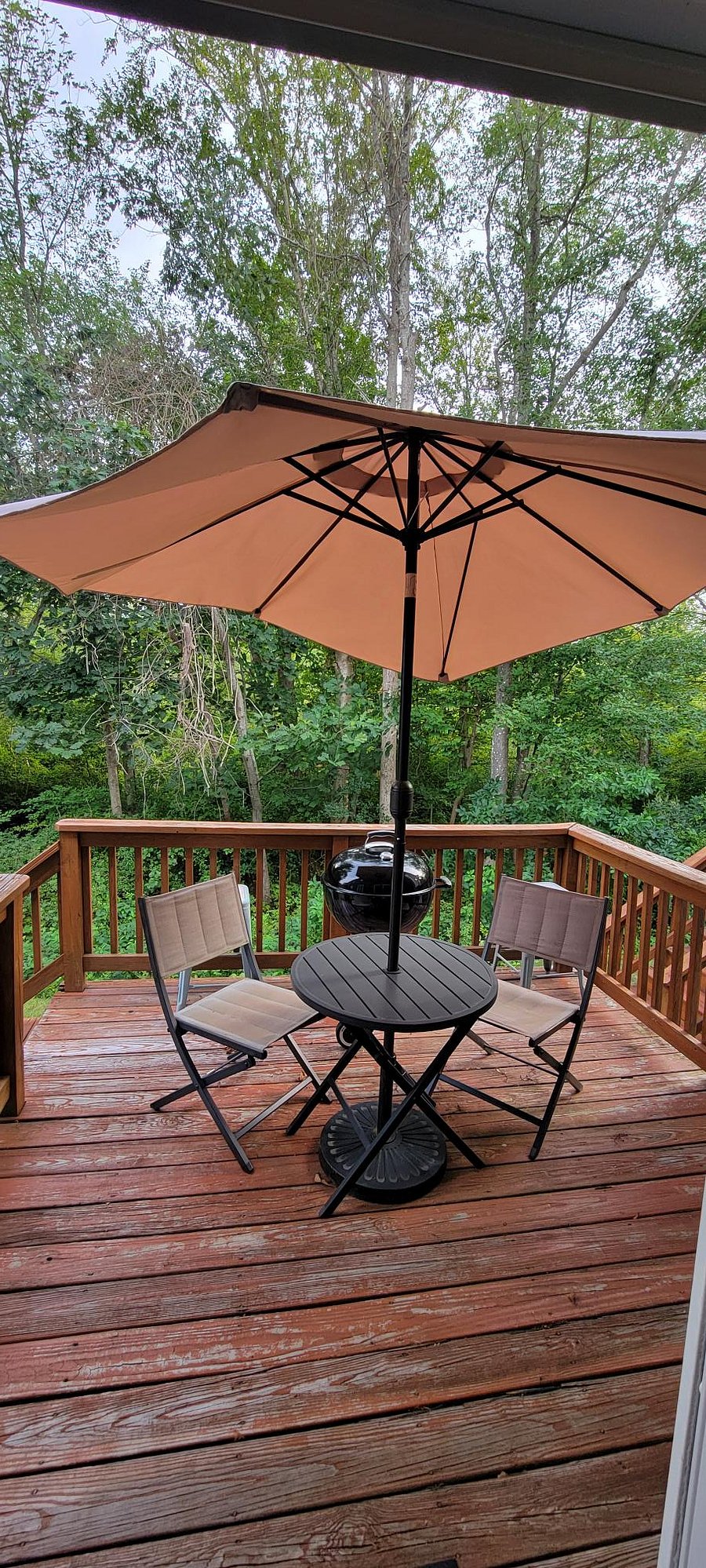 Furnished Finder property 895275_1 photo 13