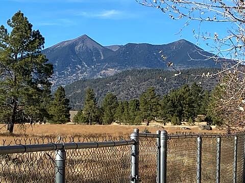Backyard view