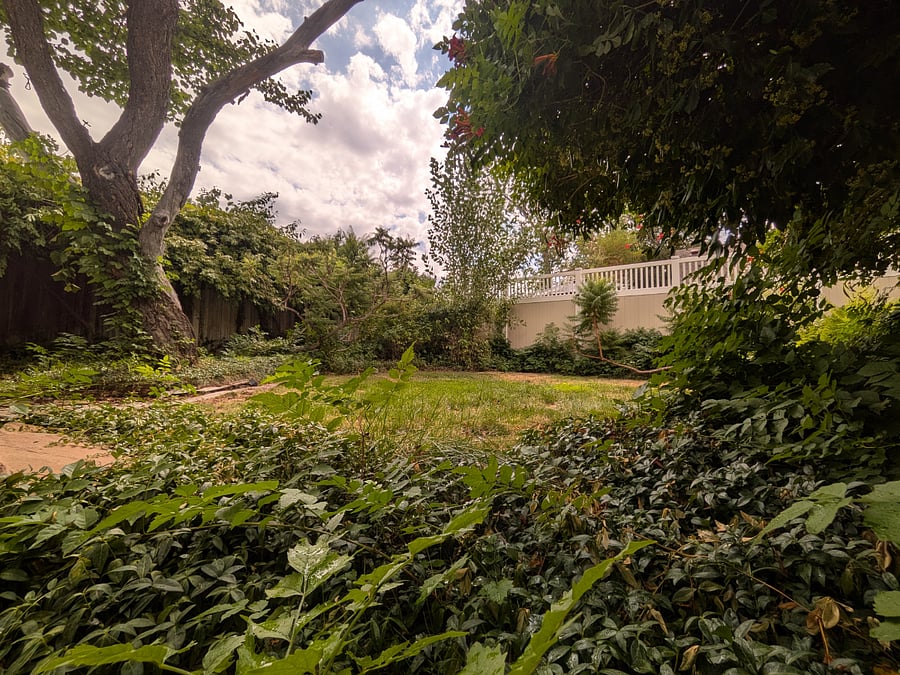 Backyard and Garden (shared)