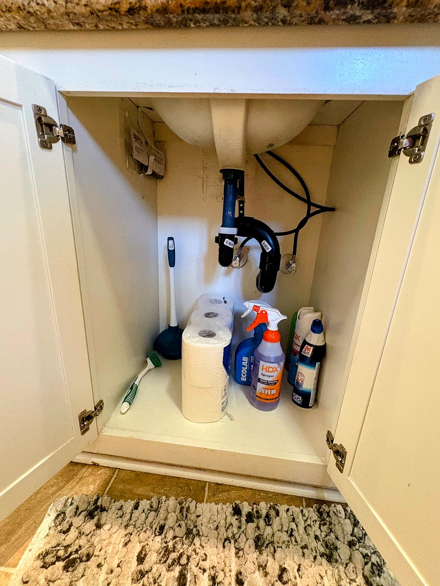 Bathroom cleaning essentials and supplies