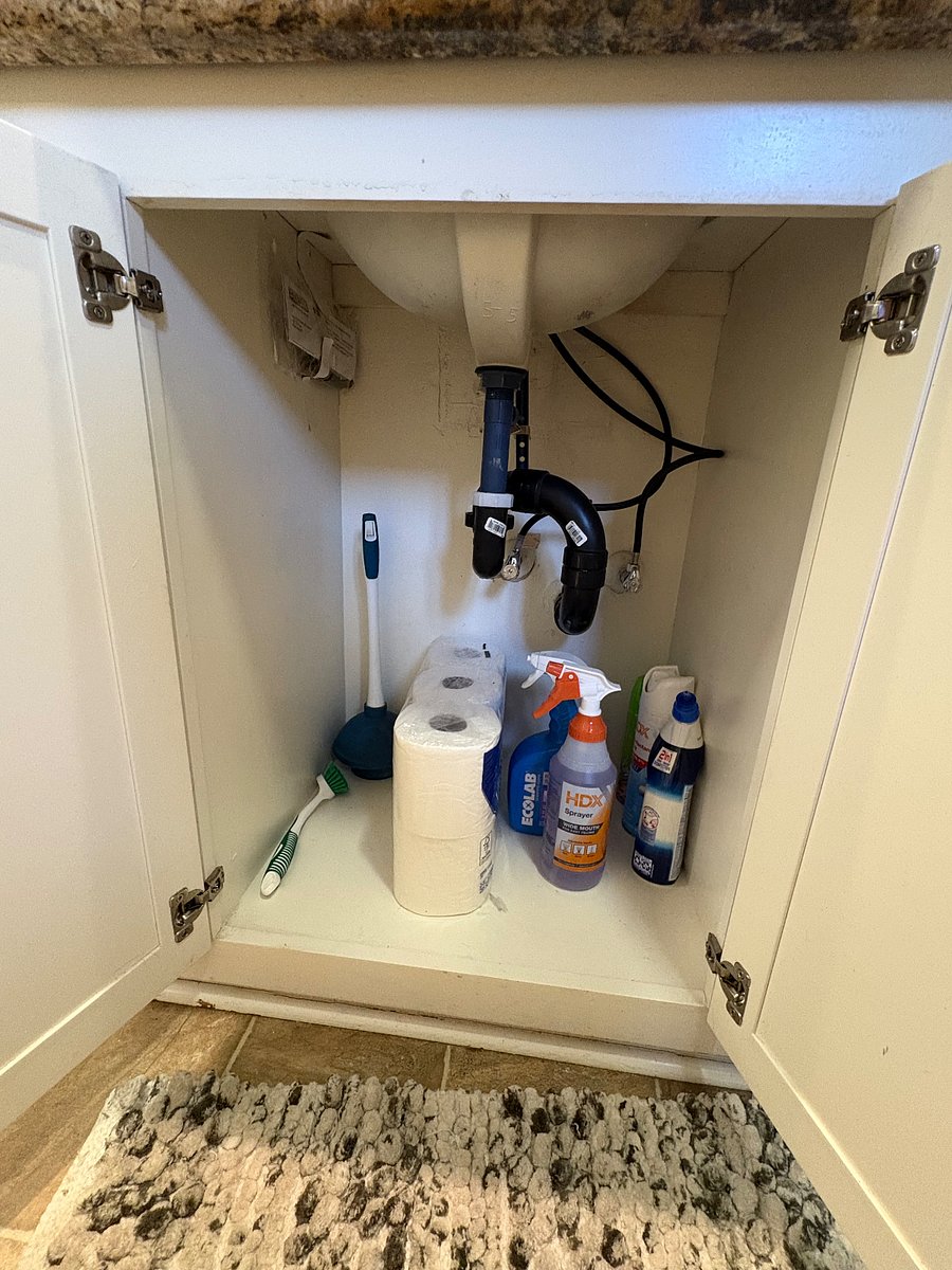 Bathroom cleaning essentials and supplies