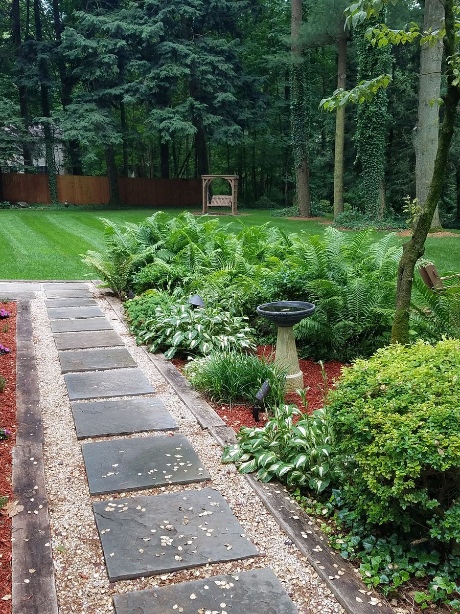 Large back yard.