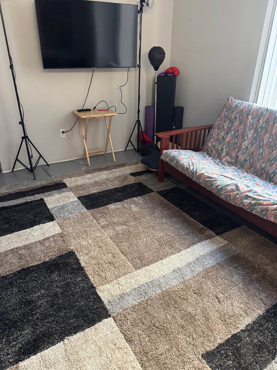 This is the living room area with a rug down and a futon 