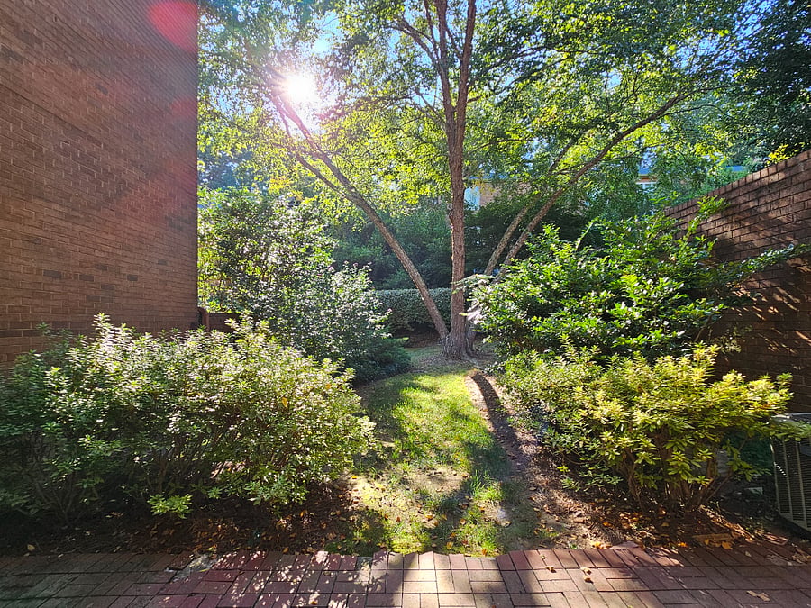 Furnished Finder property 895510_1 photo 10
