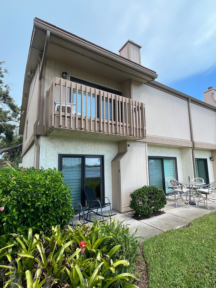 Furnished Finder property 895570_1 photo 4