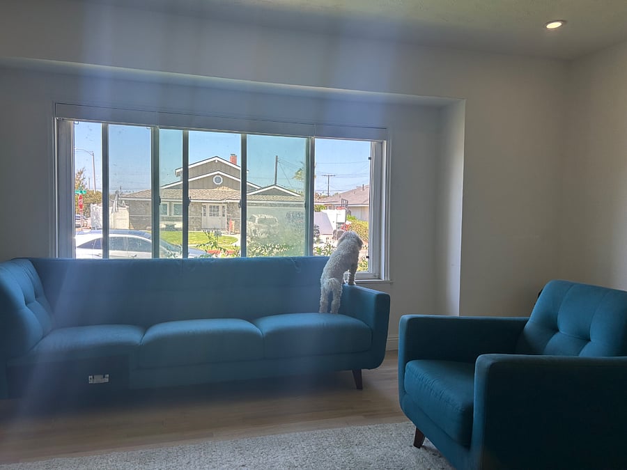 Living room facing the window