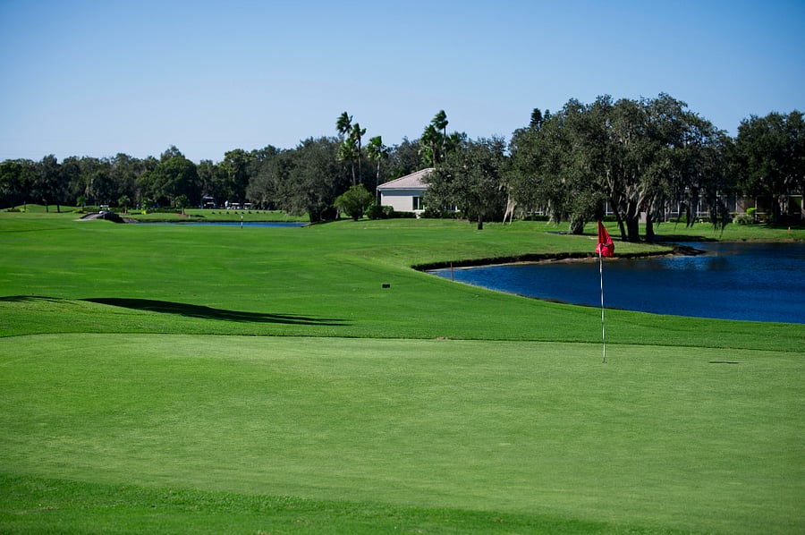 Plenty of golf courses nearby to enjoy
