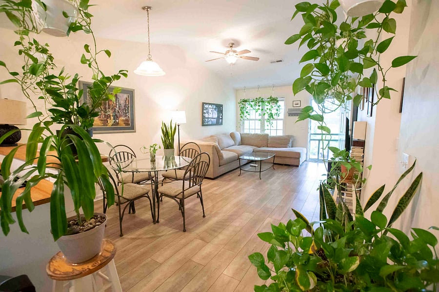 Furnished Finder property 895640_1 photo 10