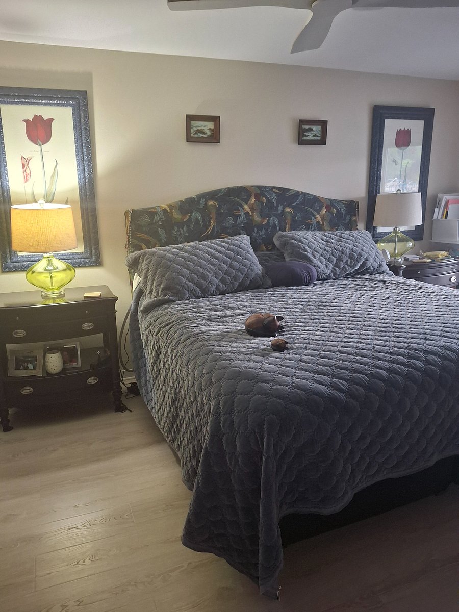Furnished Finder property 895644_1 photo 9