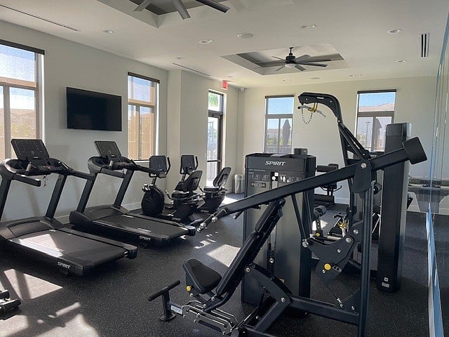 Clubhouse Gym
