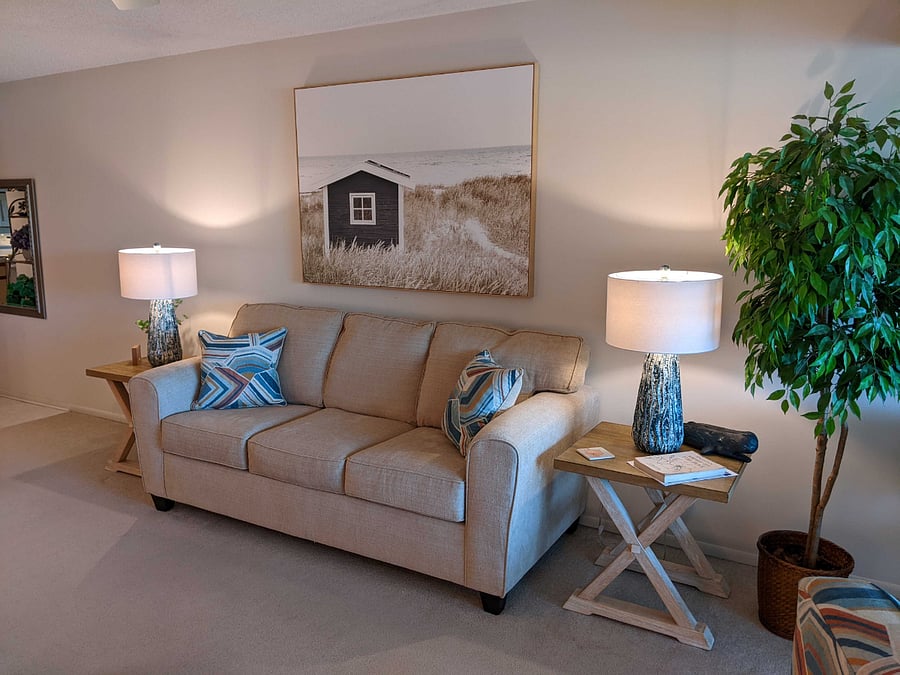 Sleeper Sofa