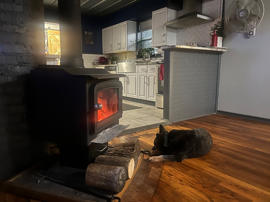 Dog not included in the rental agreement :)
