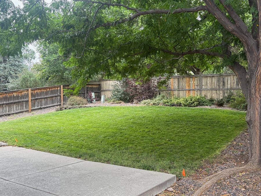 Furnished Finder property 895993_1 photo 3