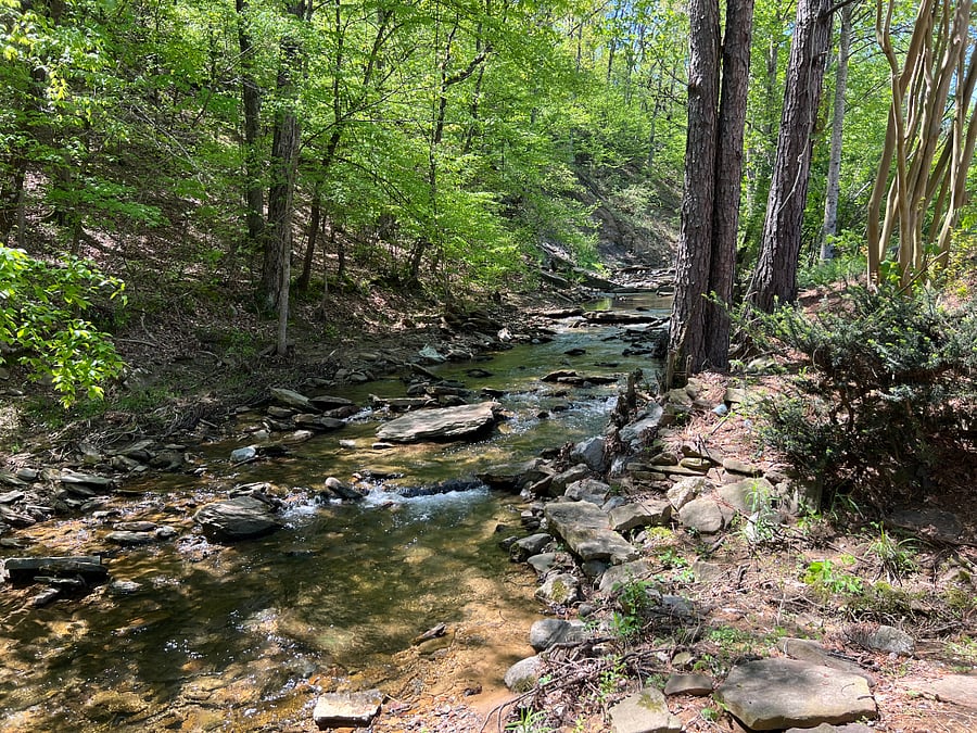 Overlooking Chapel Creek
