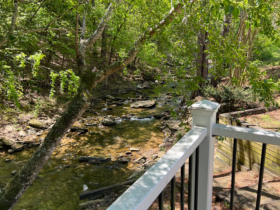 Peaceful Setting