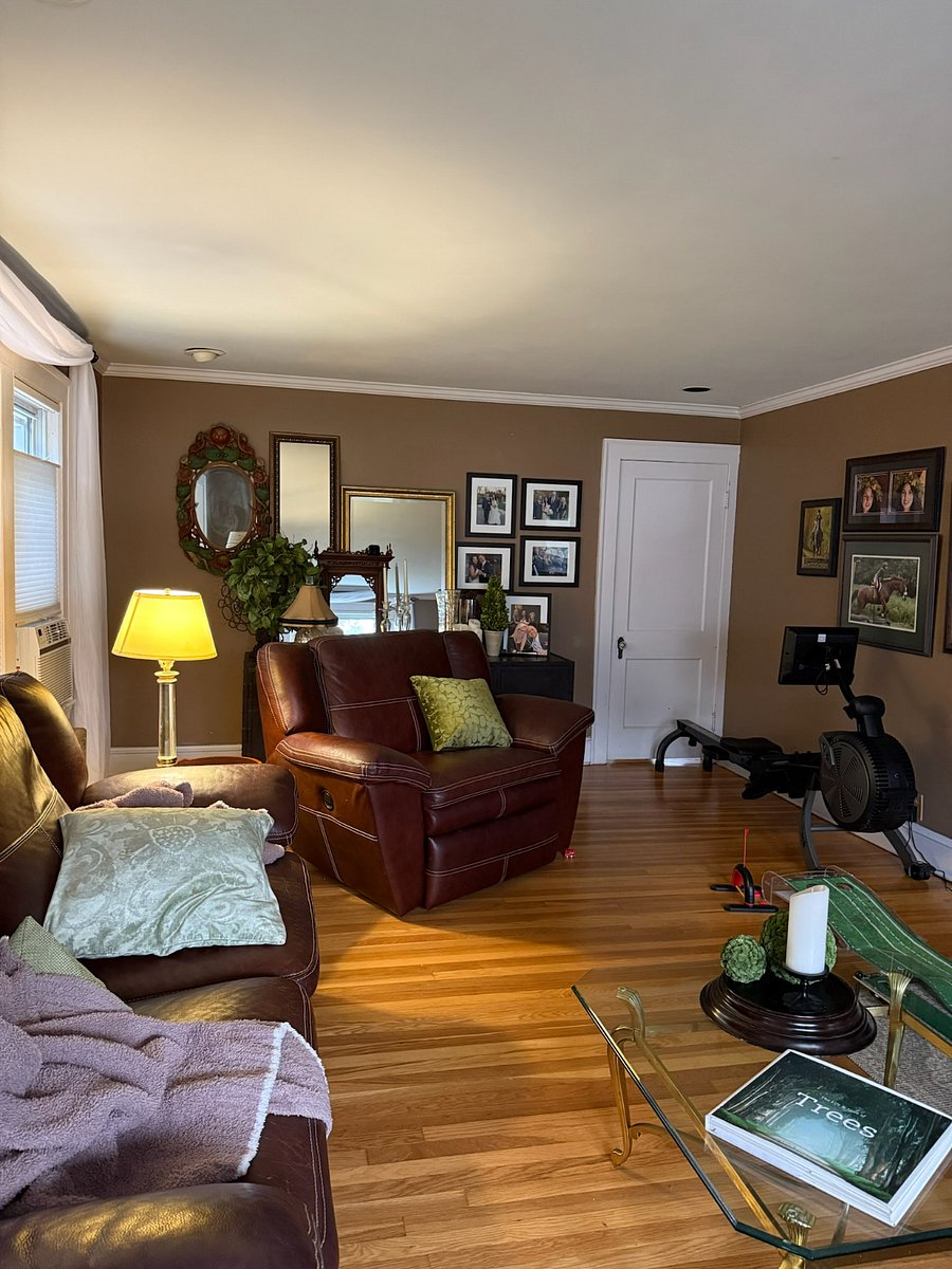 Living Room couches
