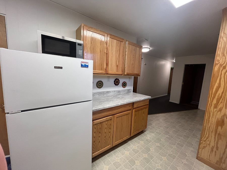 Fridge and microwave
