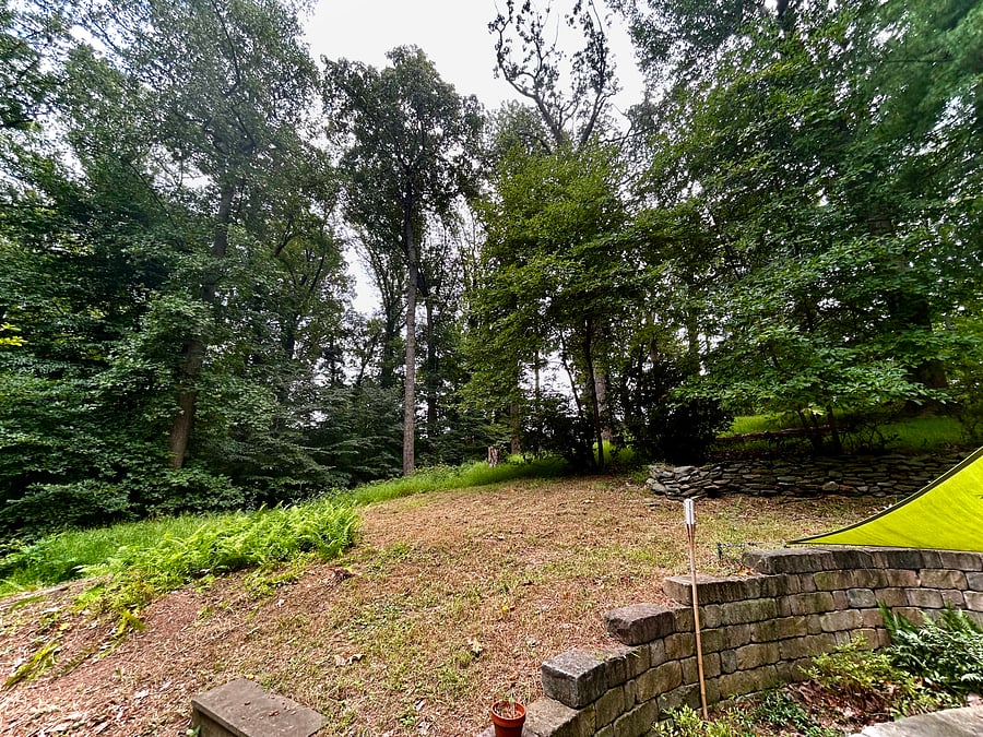 Furnished Finder property 896273_1 photo 26
