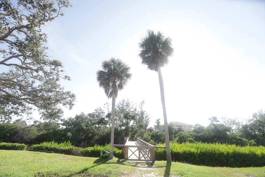 Furnished Finder property 896350_1 photo 18