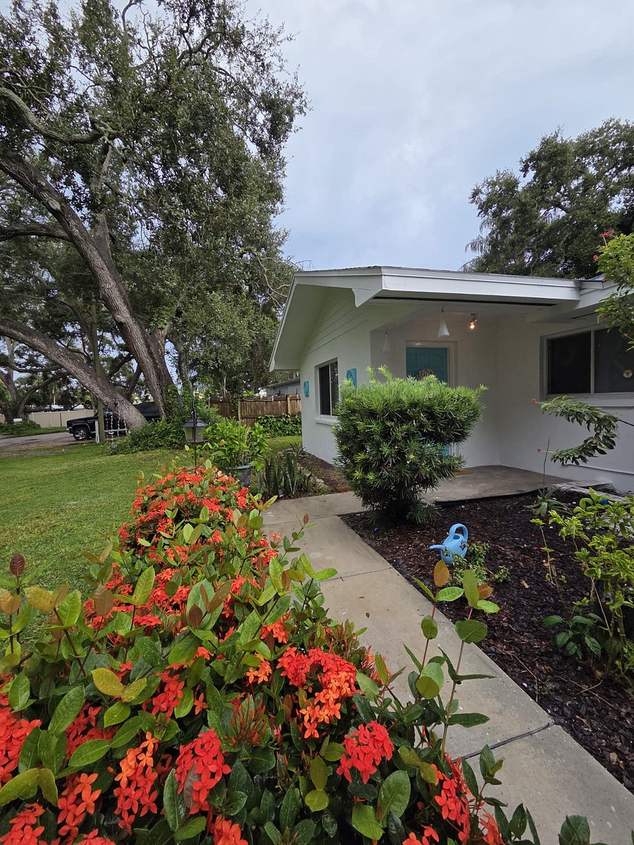 Furnished Finder property 896396_1 photo 22