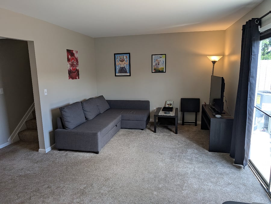 TV area with chromecast and sleeper sofa.