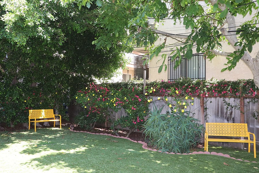 Backyard Garden (Shared with triplex tenants)
