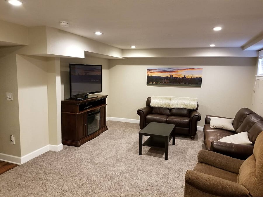 Basement Living Room