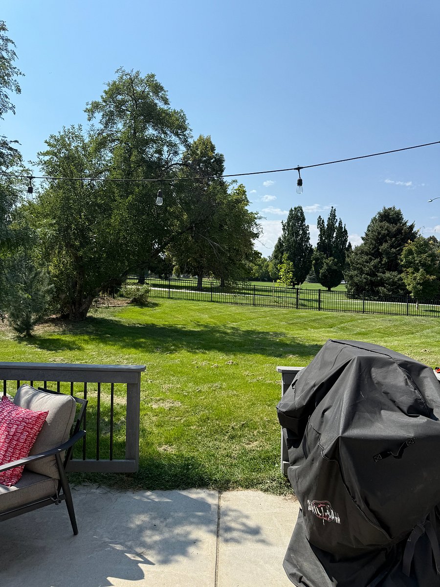 Backyard sits next to a park.