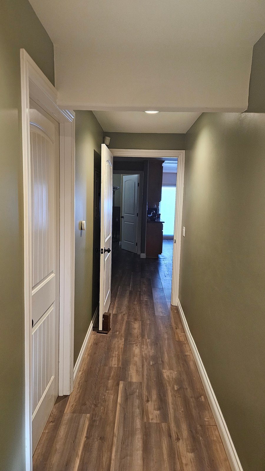 Hallway from Entry door to Guest House. (Door on left is storage unit and not a part of this lease offering)