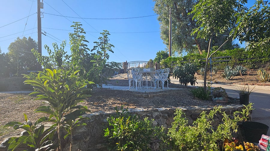 Front Yard to enjoy from secured gated area